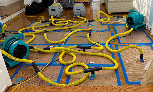 Professional Structural Drying And Dehumidification technician working in Elgin, OR